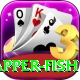 red snapper fish Premium Edition v3.4.4