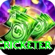shahrukh khan cricketer Premium v3.0.0