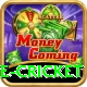 smartcric live cricket Pro Max v5.9.6