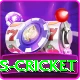 sports cricket VIP