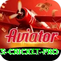 sports cricket Gold Jackpot