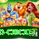 t20 cricket Apps (Tools & Injectors) Master v3.4.1