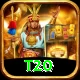 t20 Elite v2.9.3