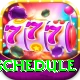 t20 schedule Premium Edition v1.4.4