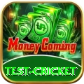 test cricket Pro v3.6.6