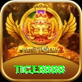tiger888 VIP vv5.5.4