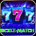 to day cricket match Max Pro v2.8.4