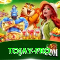 tojay Live Casino Premium