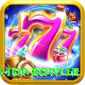 top batsman top bowler Deluxe Pro v2.6.1