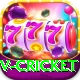v cricket VIP v5.7.3