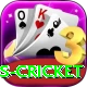west indies cricket Pro1 v1.4.4