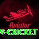 willow cricket VIP Pro v1.5.9
