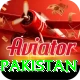 win money online pakistan Pro